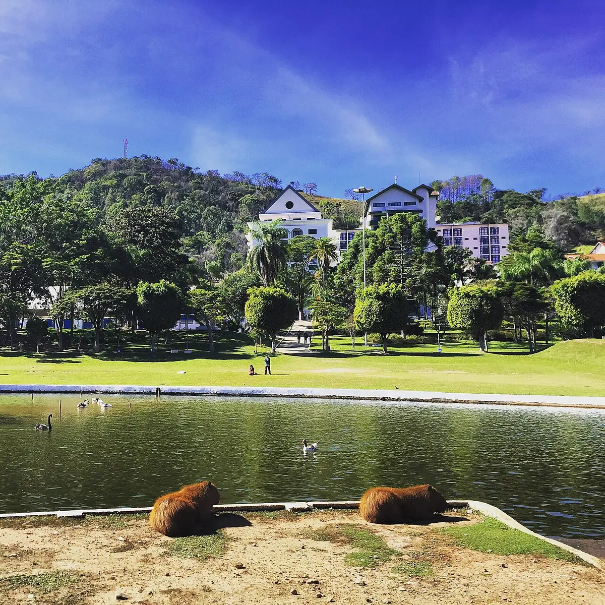Lago e jardins no centro de Águas de Lindóia