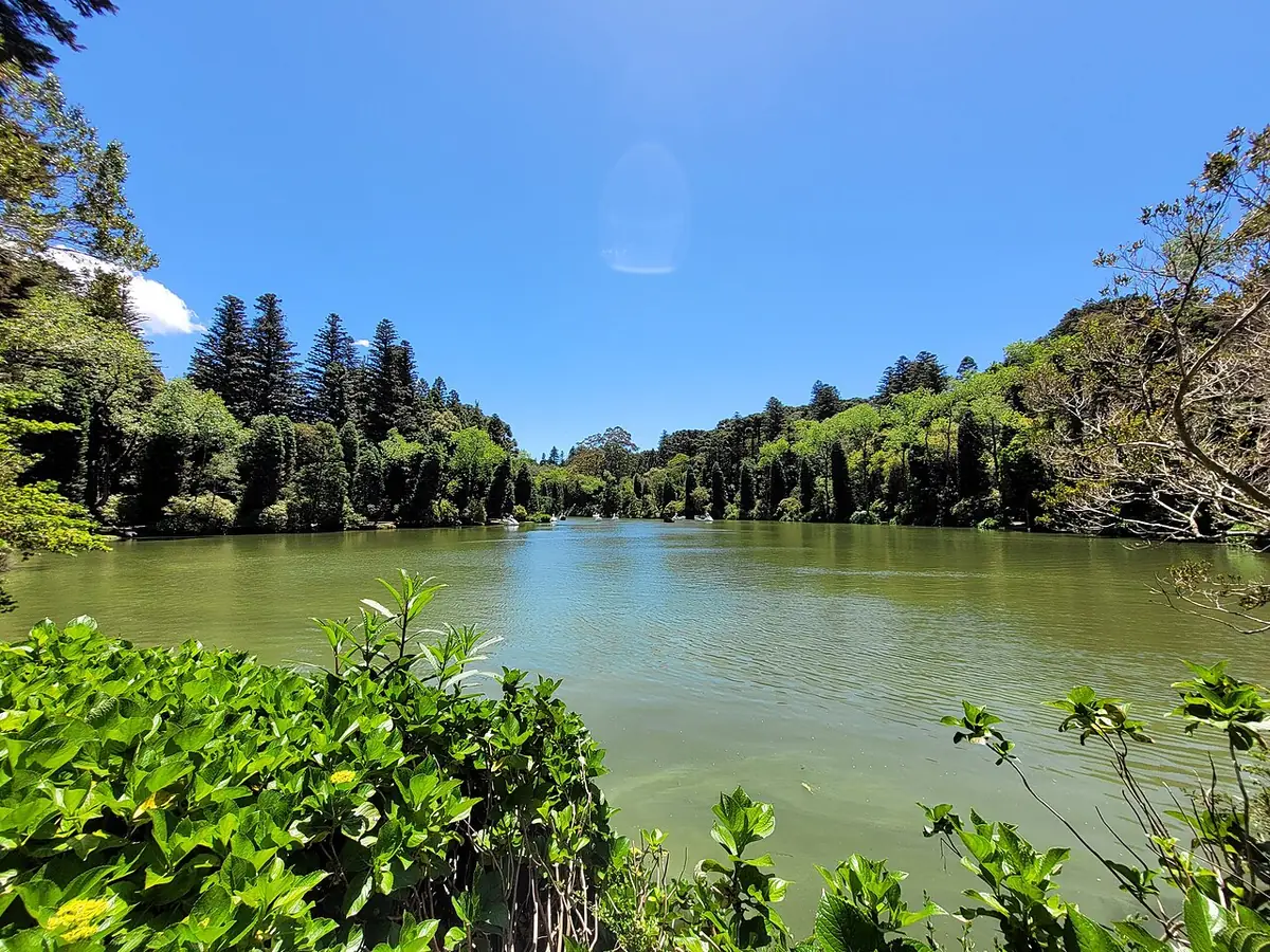 Lago Negro, em Gramado, cercado de pinheiros e hortênsias