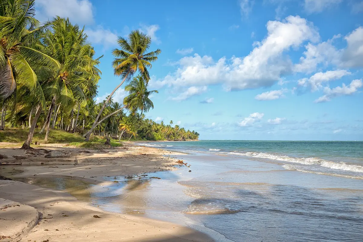 Praia com coqueiros na Rota Ecológica dos Milagres