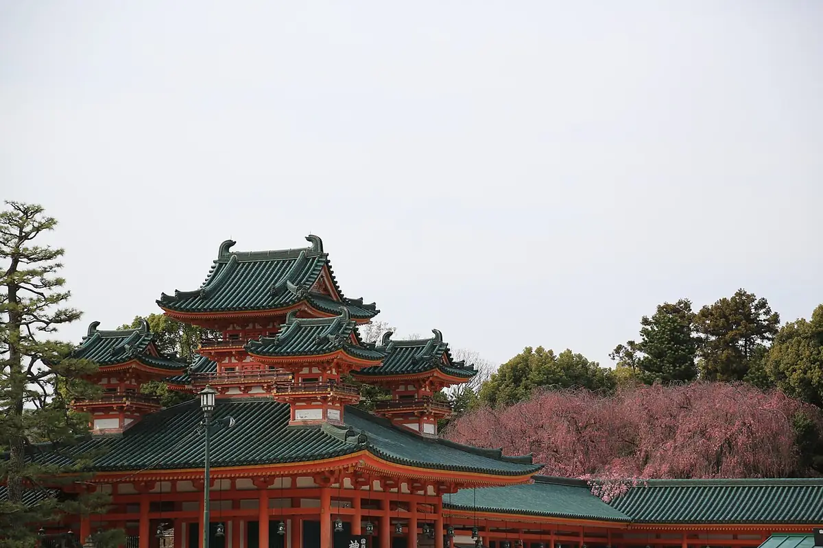 Cerejeiras floridas diante de um templo em Quioto, no Japão